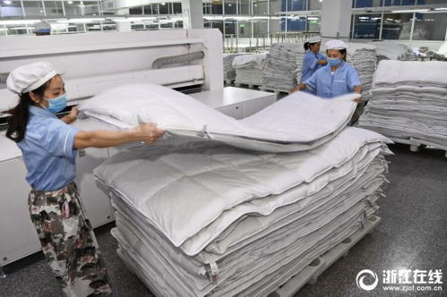 杭州羽絨制品走俏海外，匠心工藝引領全球市場新潮流